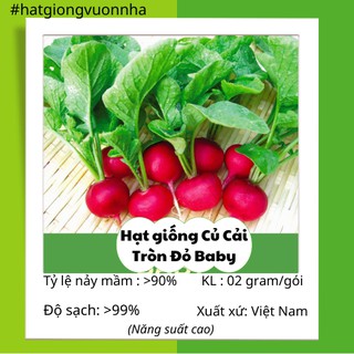 Hạt giống củ cải tròn baby - gói 2 gram
