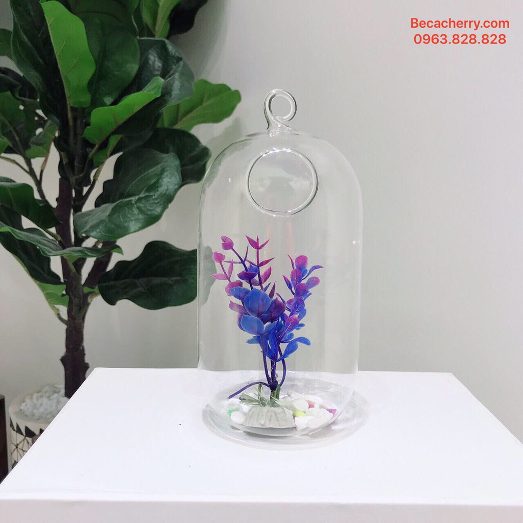 _Bình thủy tinh treo dưa cỡ to  20x10cm không kèm giá treo