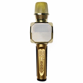 Mic kèm loa bluetooth SD10