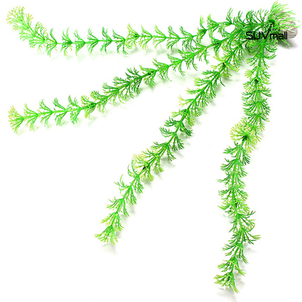 Cỏ nhân tạo bằng nhựa dùng trang trí bể cá