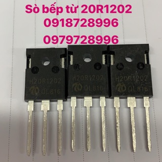 Sò bếp từ 20r1202