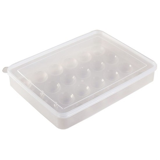 HỘP ĐỰNG TRỨNG 24 QUẢ TRONG SUỐT 1 TẦNG NHỰA VIỆT NHẬT KHAY TRỨNG 24 Ô