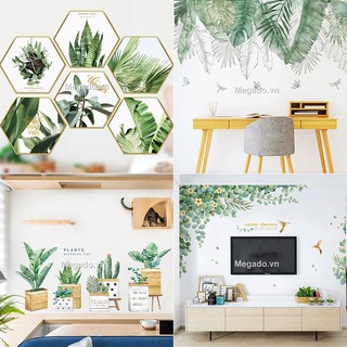 Decal cây xanh, decal lá xanh, decal lá cây nhiệt đới