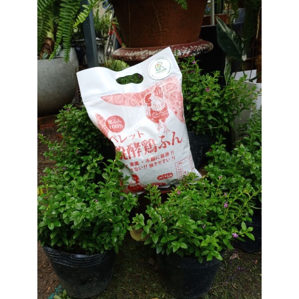 Phân gà hữu cơ nén viên gói 1kg