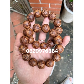 18li nu hoa Ngọc Am siêu vip
