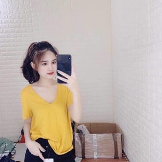 Áo phông Zara Basic cổ tim