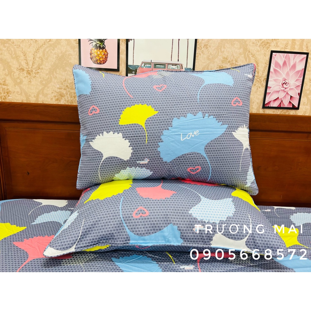 Sét ga gối thắng lợi 100% coton không kèm mền | BigBuy360 - bigbuy360.vn