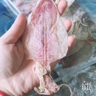 1kg mực khô mini size nhỡ