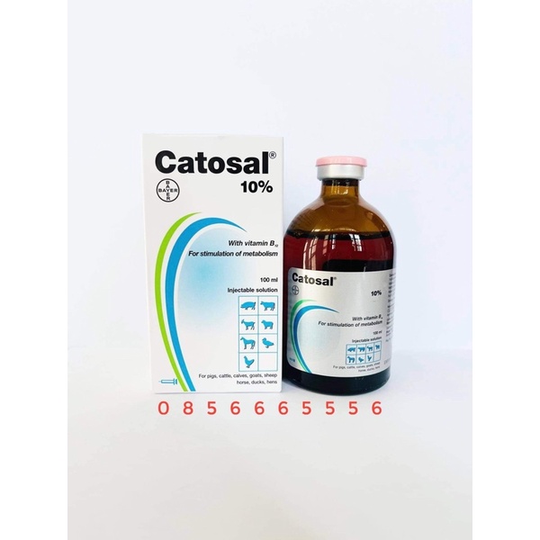 CATOSAL 10% HÀNG THÁI LAN