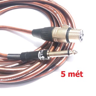 Dây 6ly canon 5 mét , 1 đầu 6 ly 1 đầu canon âm - ab012