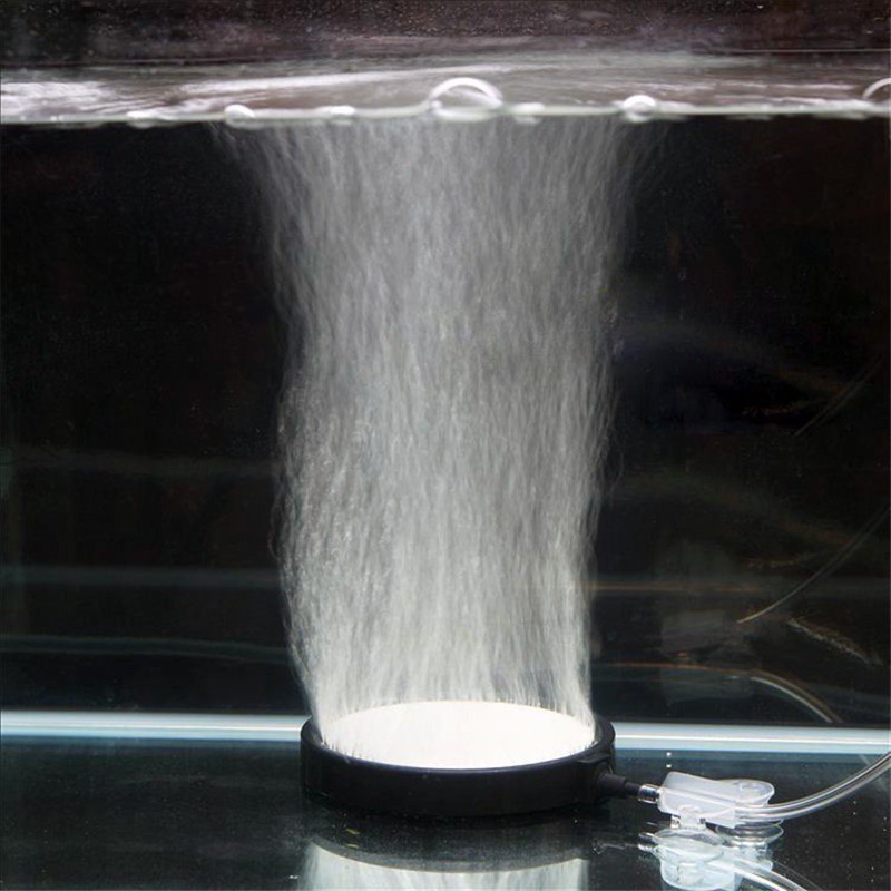 Tấm Sục Khí Oxy Cho Bể Cá