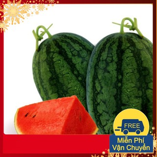 Hạt Giống Dưa Hấu F1