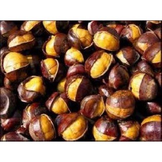 Hạt dẻ nếp rang bơ đặc sản sapa loại ngon nhất