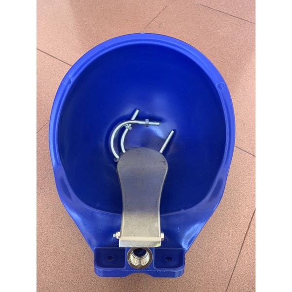 Máng uống nước tự động cho bò