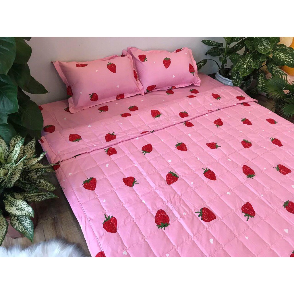 Sét Chăn hè ga gối Cotton Poly Emmidecor Mẫu Dâu Tây Hồng