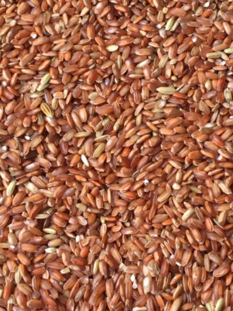 Gạo lứt tẻ đỏ Điện Biên. 25k /1 kg