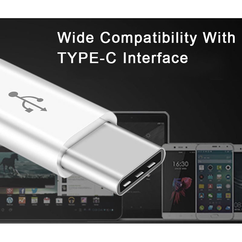 Đầu Chuyển Đổi Micro Usb Sang Type C