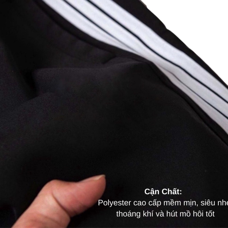 Quần thun nỉ Gấu 194 3 sọc thể thao cao cấp vải poly 2 da co dãn, mềm mịn - form slim fit