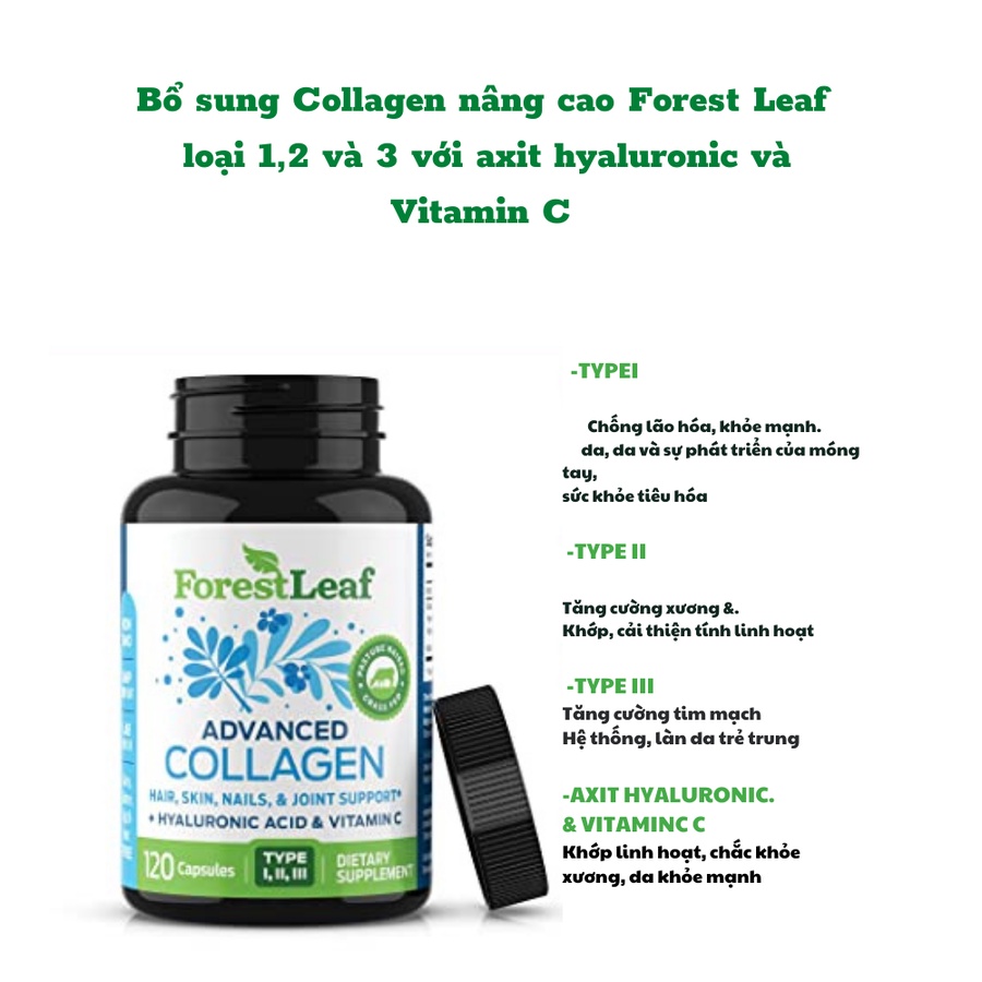 Bổ sung Collagen nâng cao, loại 1, 2 và 3 Tăng cường sức khỏe của tóc, móng và da - 120 viên của ForestLeaf