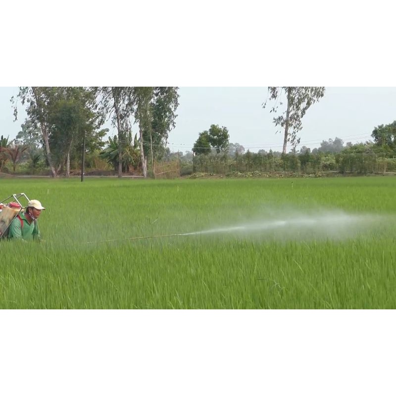 2 béc rửa xe cao áp đa năng loại 1