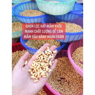 1kg mầm đậu nành cao cấp mami farm - ảnh sản phẩm 1