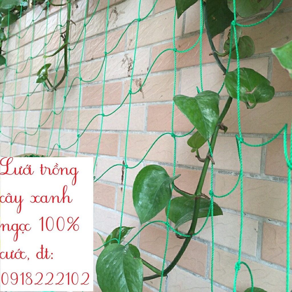 10 mét lưới xanh ngọc khổ 4 combo Lưới trồng cây 100% cước sợi làm giàn leo độ bền trên 5 năm