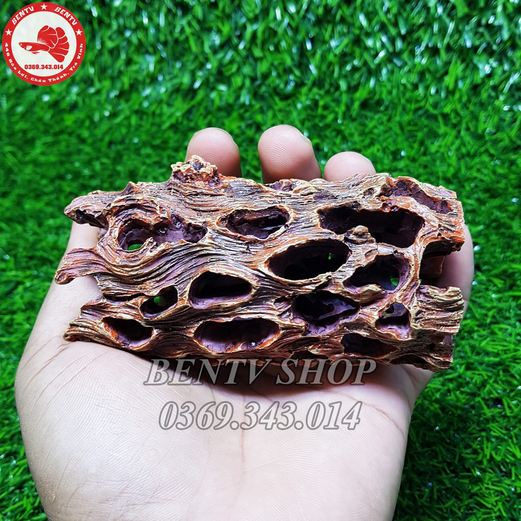 Mô Hình Nhựa Làm Hang Trú Ẩn Cho Tép