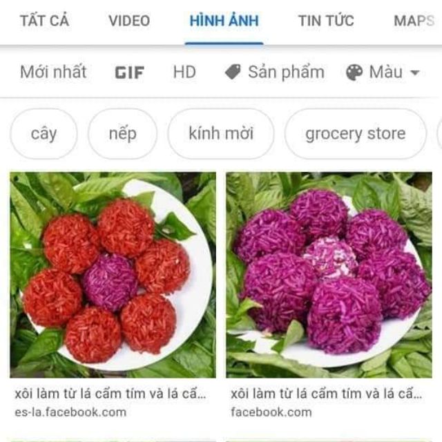 Com bo 5 cây câm tím cẩm đỏ chỉ 75 k