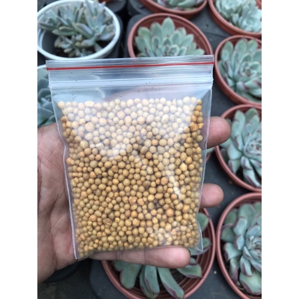 Phân tan chậm hạt vàng