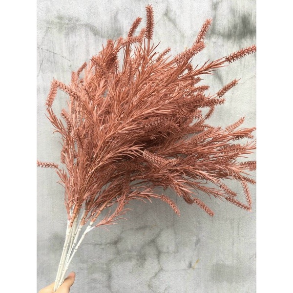 Cành điểm đuôi chồn cao 55cm