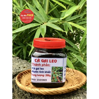 Cao Cà Gai Leo (hộp 200g)|cao cà gai