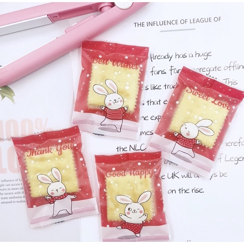 Túi bánh quy, bánh hành,bánh dứa khuôn lò xo 2022 hình chú thỏ (100c)