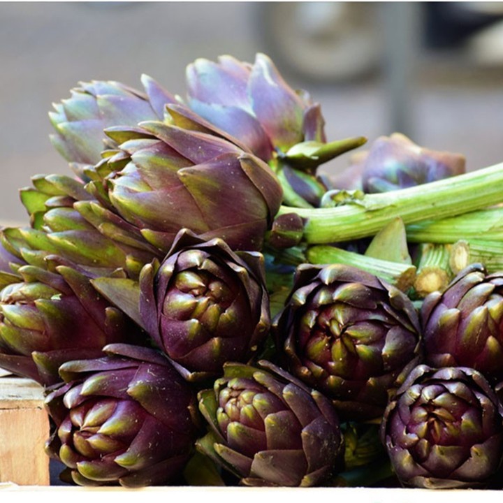 Hạt giống atiso bông tím Đà Lạt - Violet Artichoke (gói 2gr)