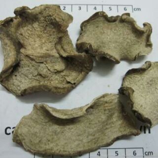 500g  Củ Ráy