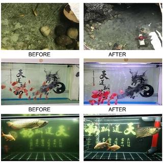 【Fast Delivery】 Eco-Aquarium Purifier Cube 【Veemm】