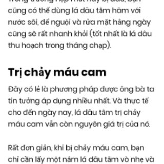 Cây dâu tằm bầu đất( đang trái)