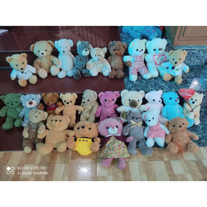 Gấu bông teddy giao ngẫu nhiên