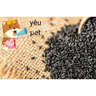 Mè đen bỗ dưỡng cho hamster