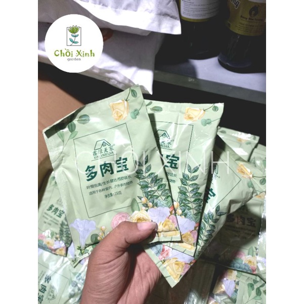 Phân Bón Tan Chậm Cho Sen Đá Xương Rồng mập bón