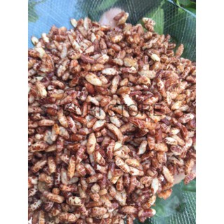 500g gạo lứt sấy giòn .