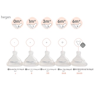 Núm Ti Hegen Chính Hãng Đủ Size Set 2c Fullbox