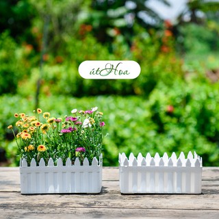Chậu Hàng Rào dài 2 tấc trồng hoa kiểng dễ thương