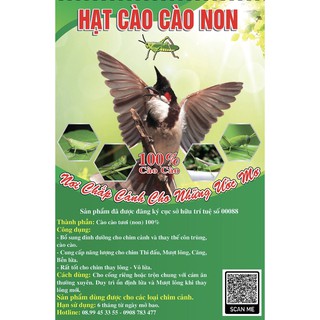 Hạt cào cào non, thay thế mồi tươi 100gram