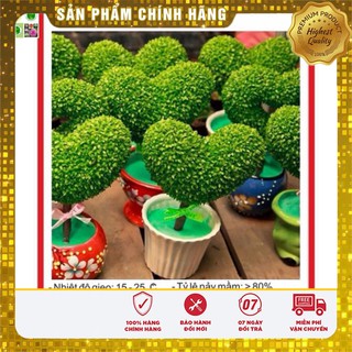 Hạt giống Cỏ May Mắn - 1gr