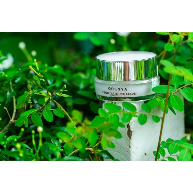 Kem Đêm Rau Má – Centella Repair Cream