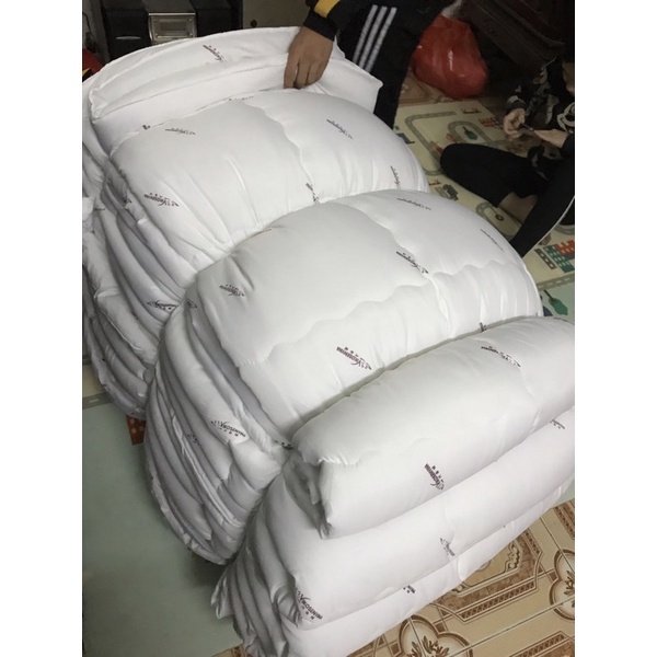 Ruột Chăn Bông Tấm Trắng Cao Cấp