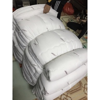 [Giá Rẻ] Ruột Chăn Bông Tấm Trắng Cao Cấp(2,5kg->3kg)