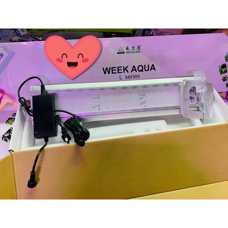 Đèn Week L600 , L900, L1200