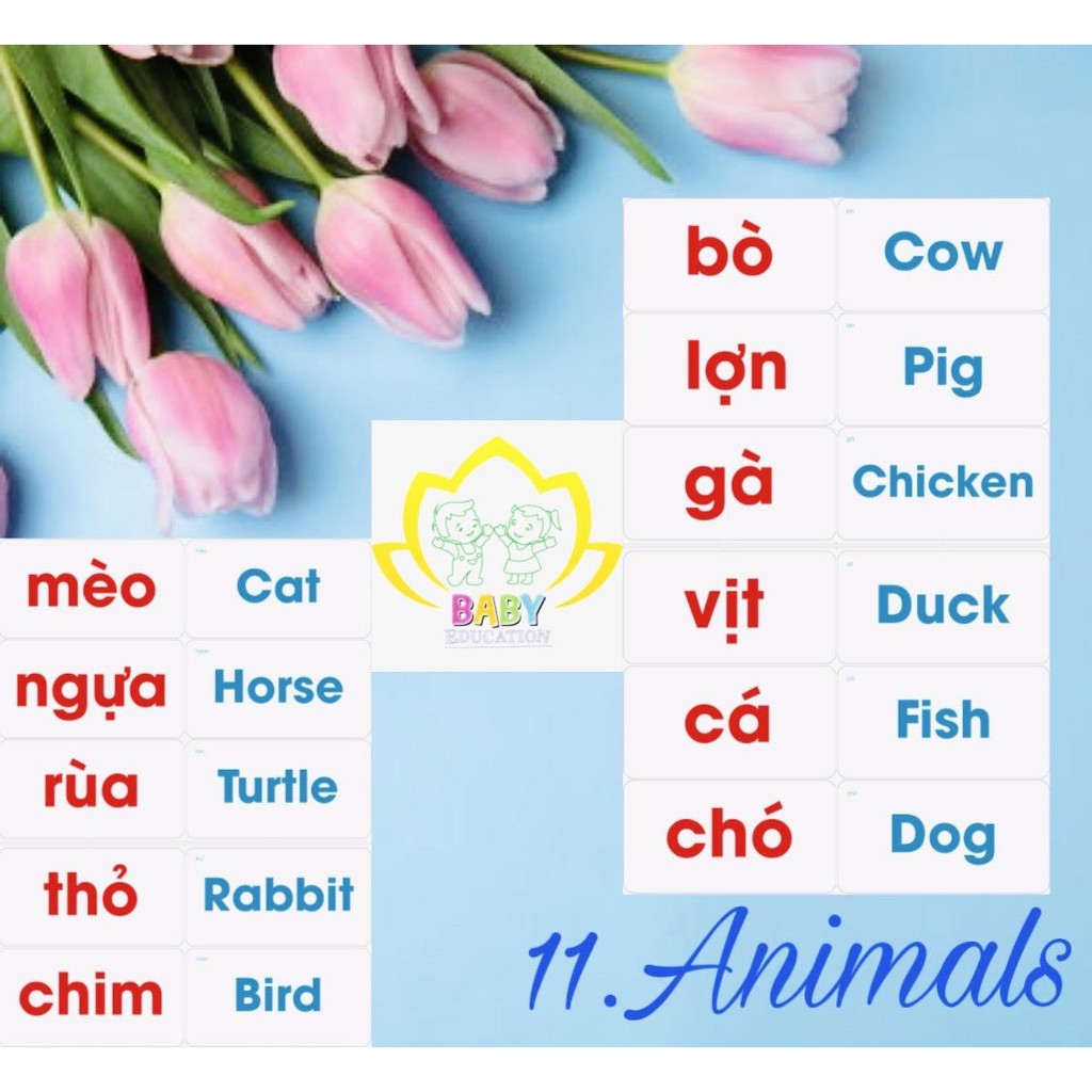 Flashcard Tiếng Anh 200 Thẻ Chữ Song Ngữ Glenn Doman Chuẩn Ivory 350