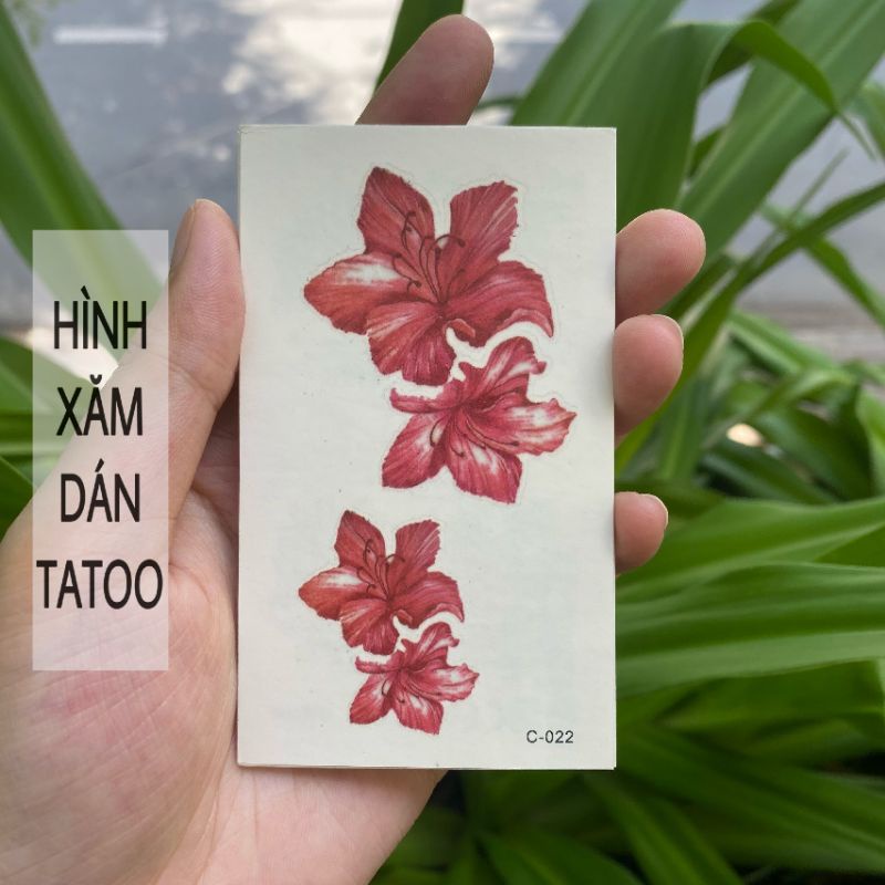 Hình xăm hoa dâm bụt đỏ cánh nhọn c22. Tatoo dán tạm thời